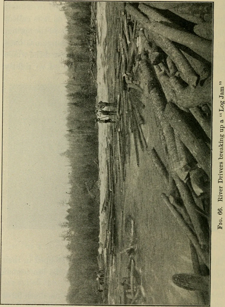 An illustration from Elementary woodworking, 1903, leaf 63