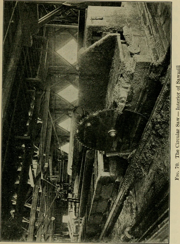 An illustration from Elementary woodworking, 1903, leaf 66
