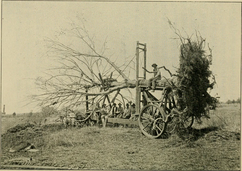An illustration from Elementary woodworking, 1903, leaf 73
