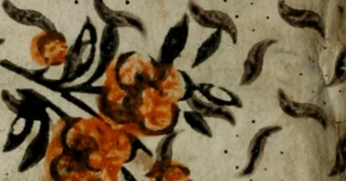 An illustration from Elementi d'architettura civile : con XVIII tavole in rame, 1791, leaf 157