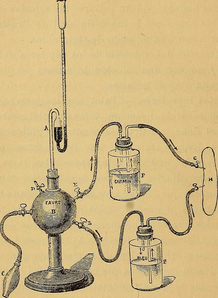 An illustration from Elementos de histología normal y de téchnica micrografica para uso de estudiantes, 1897, leaf 114