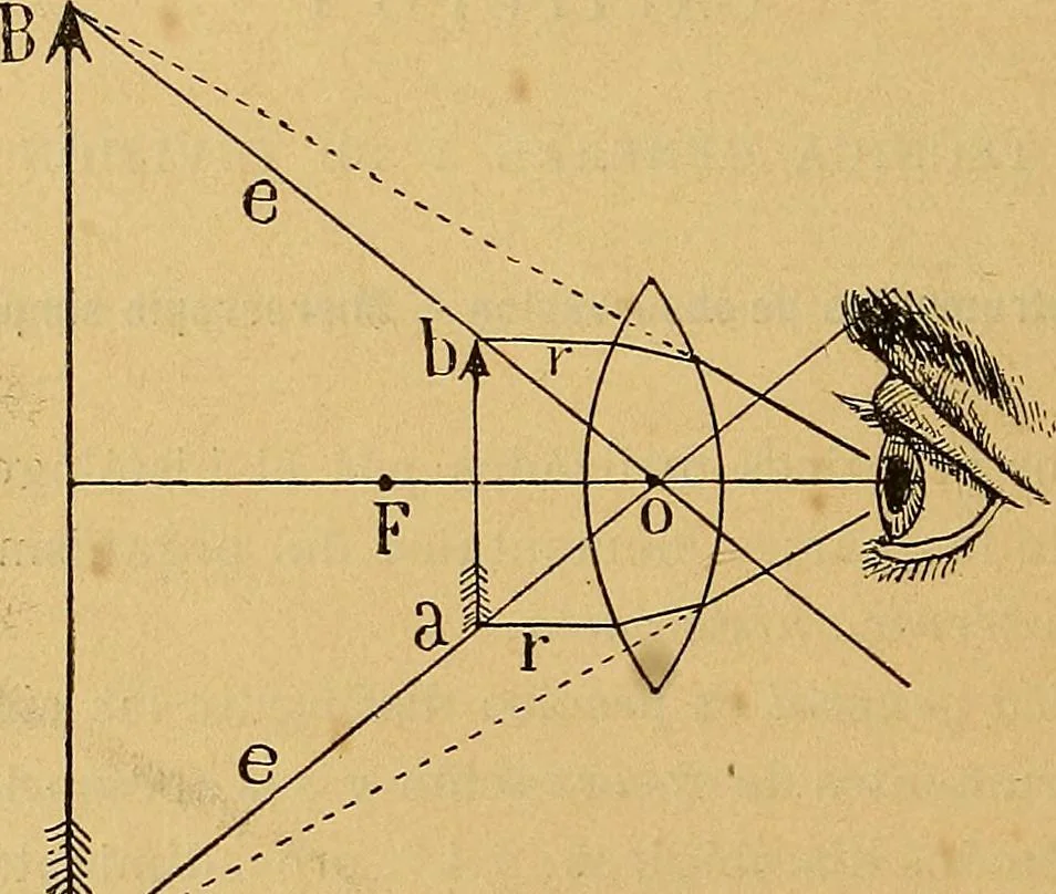 An illustration from Elementos de histología normal y de téchnica micrografica para uso de estudiantes, 1897, leaf 12