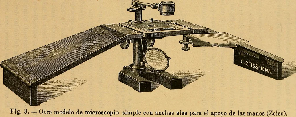 An illustration from Elementos de histología normal y de téchnica micrografica para uso de estudiantes, 1897, leaf 15