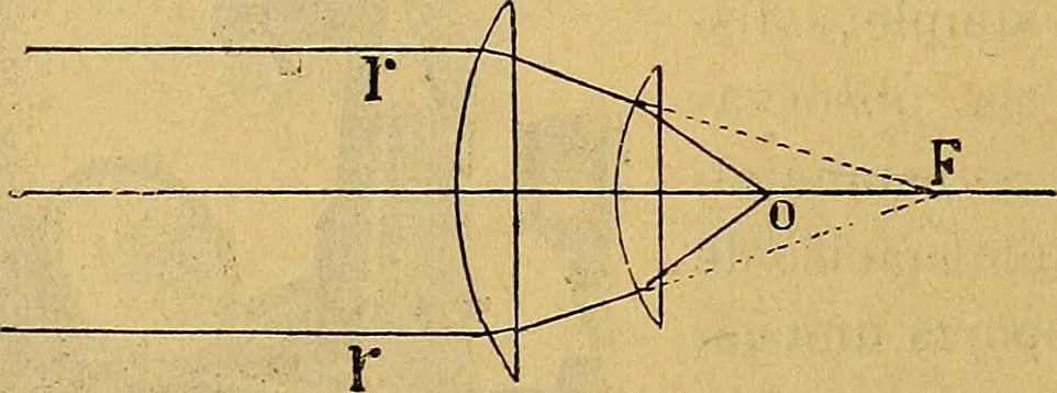 An illustration from Elementos de histología normal y de téchnica micrografica para uso de estudiantes, 1897, leaf 16
