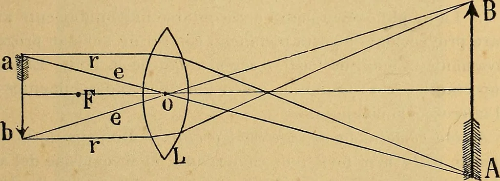 An illustration from Elementos de histología normal y de téchnica micrografica para uso de estudiantes, 1897, leaf 19