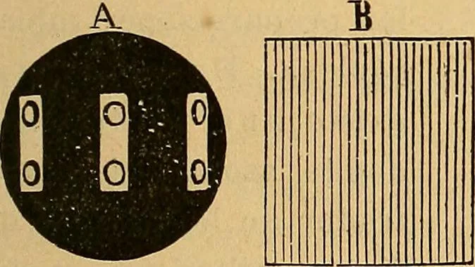 An illustration from Elementos de histología normal y de téchnica micrografica para uso de estudiantes, 1897, leaf 25
