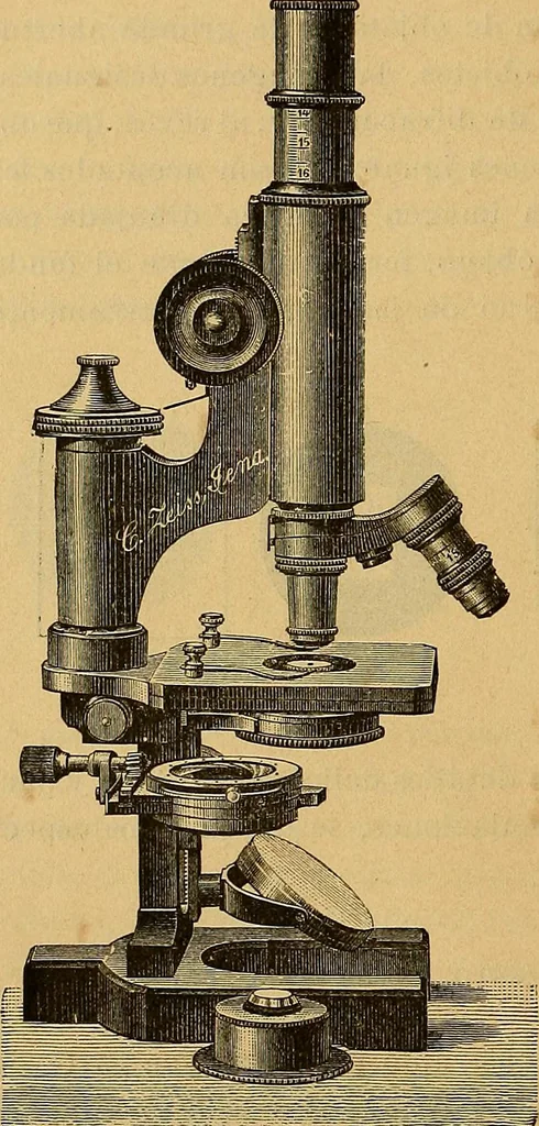 An illustration from Elementos de histología normal y de téchnica micrografica para uso de estudiantes, 1897, leaf 26