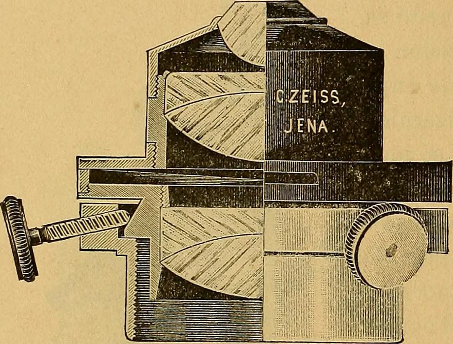 An illustration from Elementos de histología normal y de téchnica micrografica para uso de estudiantes, 1897, leaf 28