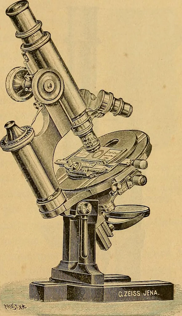 An illustration from Elementos de histología normal y de téchnica micrografica para uso de estudiantes, 1897, leaf 29