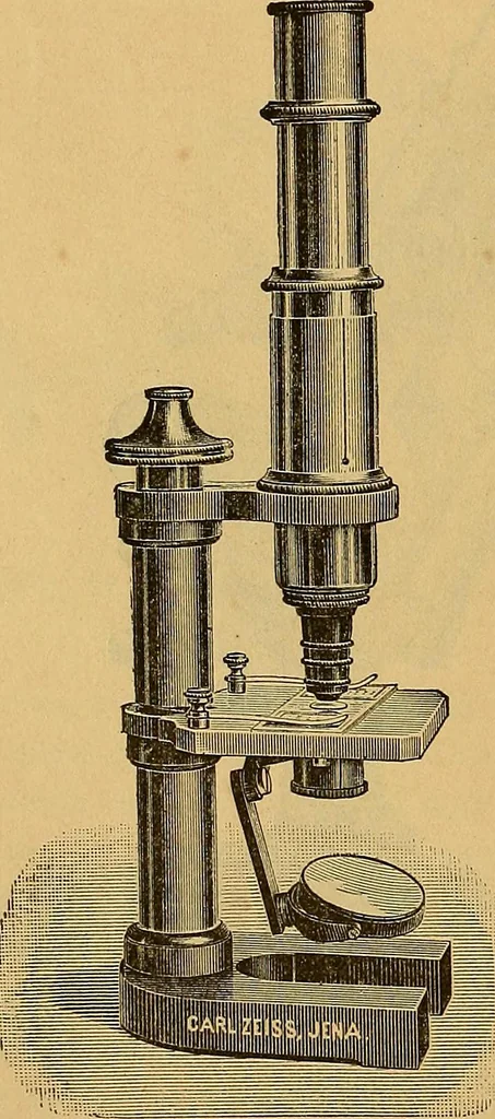 An illustration from Elementos de histología normal y de téchnica micrografica para uso de estudiantes, 1897, leaf 30