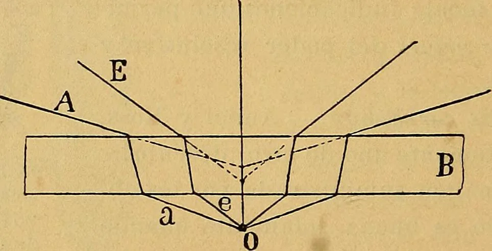 An illustration from Elementos de histología normal y de téchnica micrografica para uso de estudiantes, 1897, leaf 32