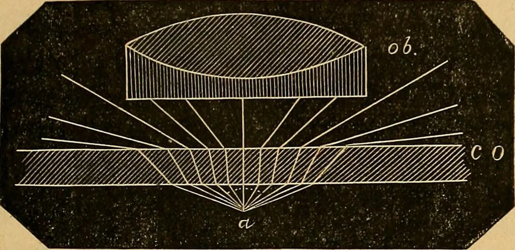 An illustration from Elementos de histología normal y de téchnica micrografica para uso de estudiantes, 1897, leaf 33