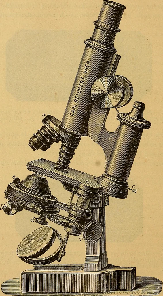 An illustration from Elementos de histología normal y de téchnica micrografica para uso de estudiantes, 1897, leaf 34