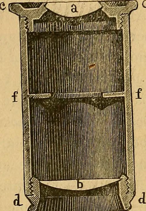 An illustration from Elementos de histología normal y de téchnica micrografica para uso de estudiantes, 1897, leaf 41