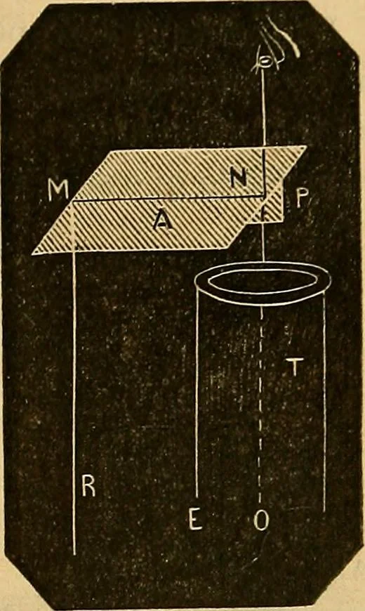 An illustration from Elementos de histología normal y de téchnica micrografica para uso de estudiantes, 1897, leaf 45