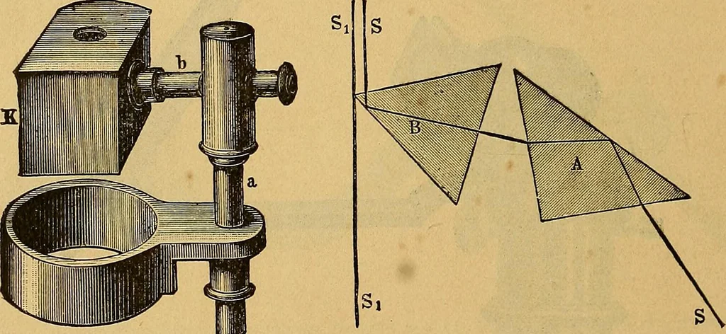 An illustration from Elementos de histología normal y de téchnica micrografica para uso de estudiantes, 1897, leaf 48