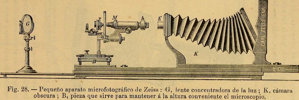 An illustration from Elementos de histología normal y de téchnica micrografica para uso de estudiantes, 1897, leaf 49