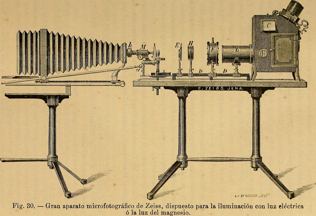 An illustration from Elementos de histología normal y de téchnica micrografica para uso de estudiantes, 1897, leaf 51