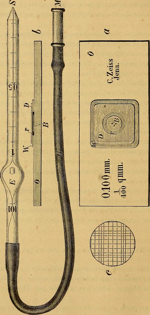 An illustration from Elementos de histología normal y de téchnica micrografica para uso de estudiantes, 1897, leaf 56