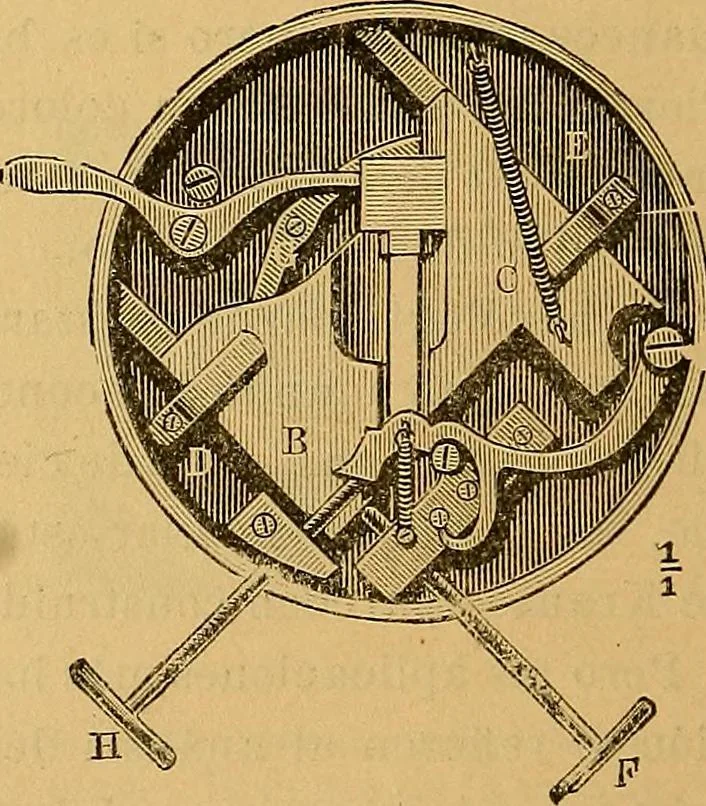 An illustration from Elementos de histología normal y de téchnica micrografica para uso de estudiantes, 1897, leaf 60
