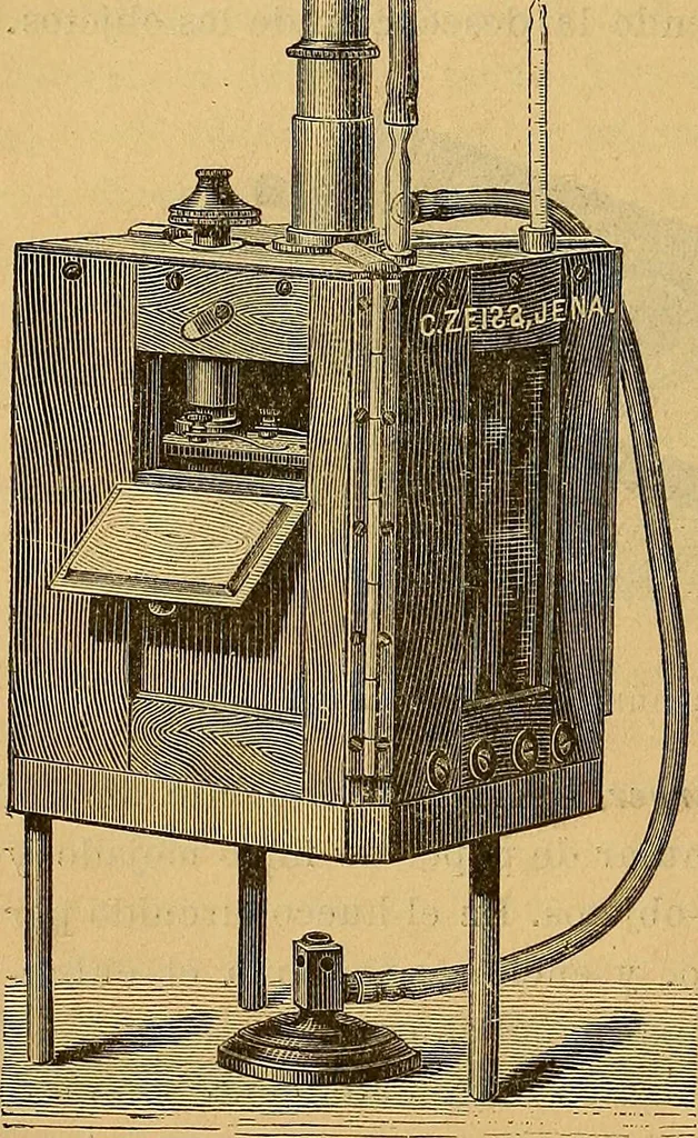 An illustration from Elementos de histología normal y de téchnica micrografica para uso de estudiantes, 1897, leaf 72