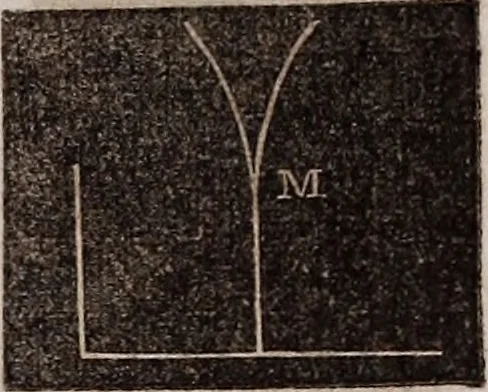 An illustration from Elements of analytical geometry and the differential and integral calculus, 1856, leaf 234