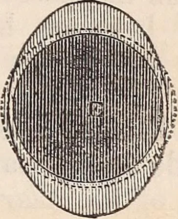 An illustration from Elements of astronomy ... with explanatory notes, and questions for examination, 1855, leaf 289