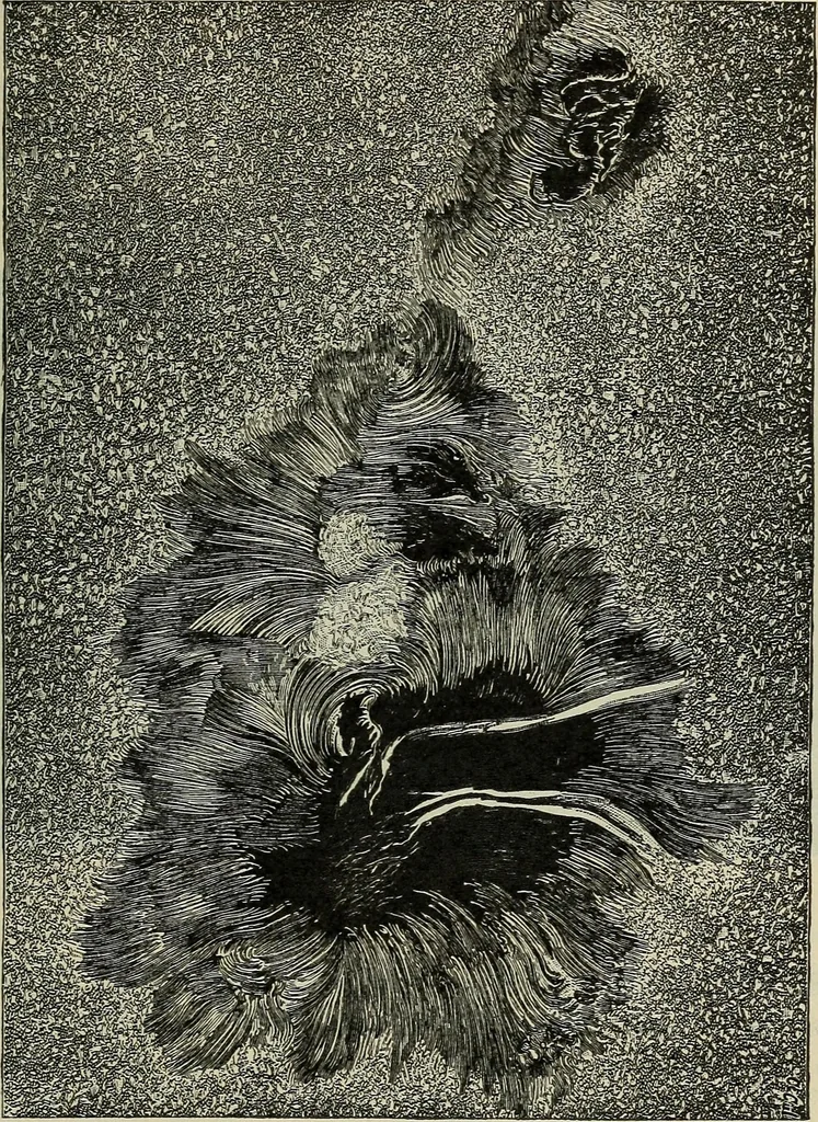 An illustration from The elements of astronomy; a textbook, 1919, leaf 137