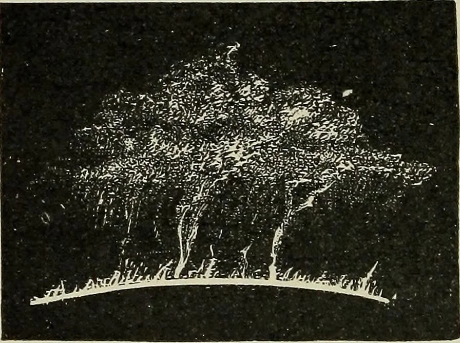 An illustration from The elements of astronomy; a textbook, 1919, leaf 160