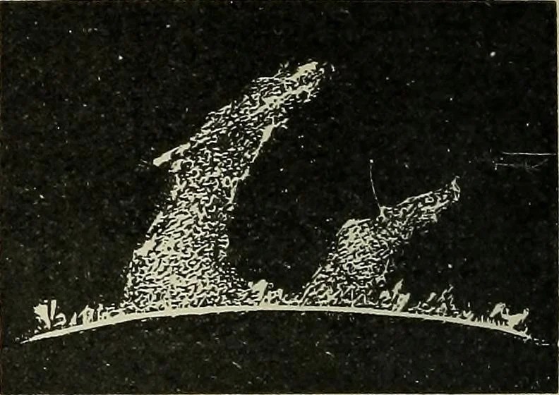 An illustration from The elements of astronomy; a textbook, 1919, leaf 160