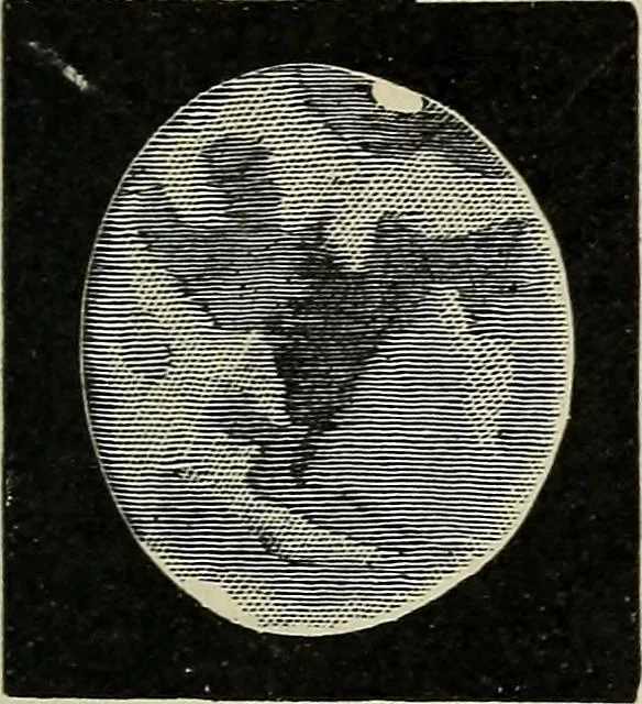 An illustration from The elements of astronomy; a textbook, 1919, leaf 247