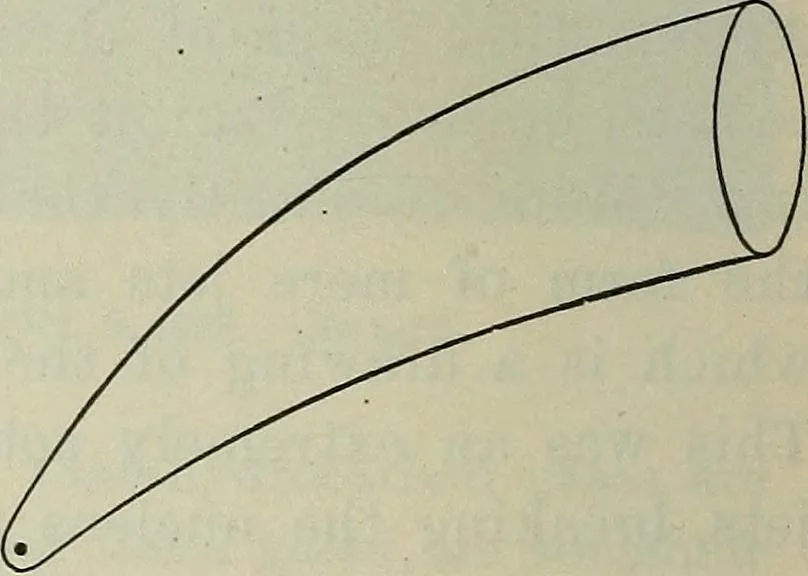 An illustration from The elements of astronomy; a textbook, 1919, leaf 294