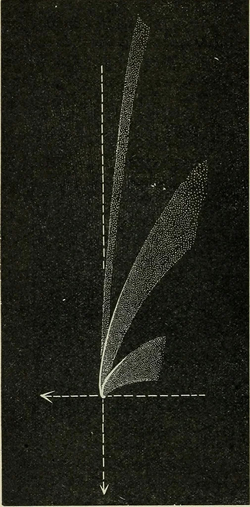 An illustration from The elements of astronomy; a textbook, 1919, leaf 296