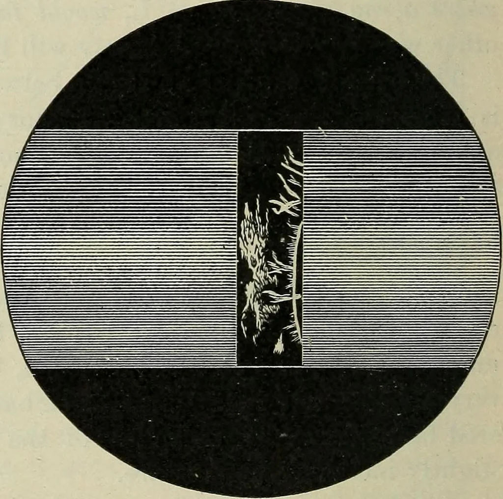 An illustration from The elements of astronomy; a textbook, 1919, leaf 392