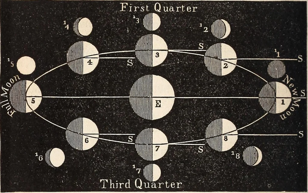 An illustration from Elements of astronomy .., 1870, leaf 160