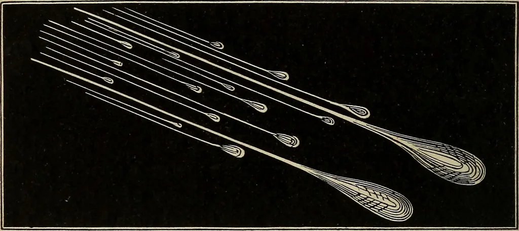 An illustration from Elements of astronomy: accompanied with numerous illustrations, a colored representation of the solar, stellar, and nebular spectra, and celestial charts of the northern and the southern hemisphere, 1875, leaf 177