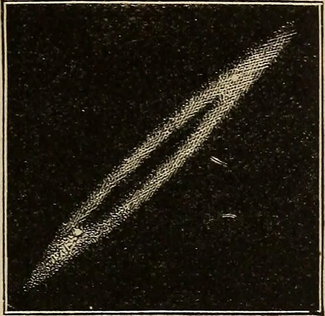 An illustration from Elements of astronomy: accompanied with numerous illustrations, a colored representation of the solar, stellar, and nebular spectra, and celestial charts of the northern and the southern hemisphere, 1875, leaf 58