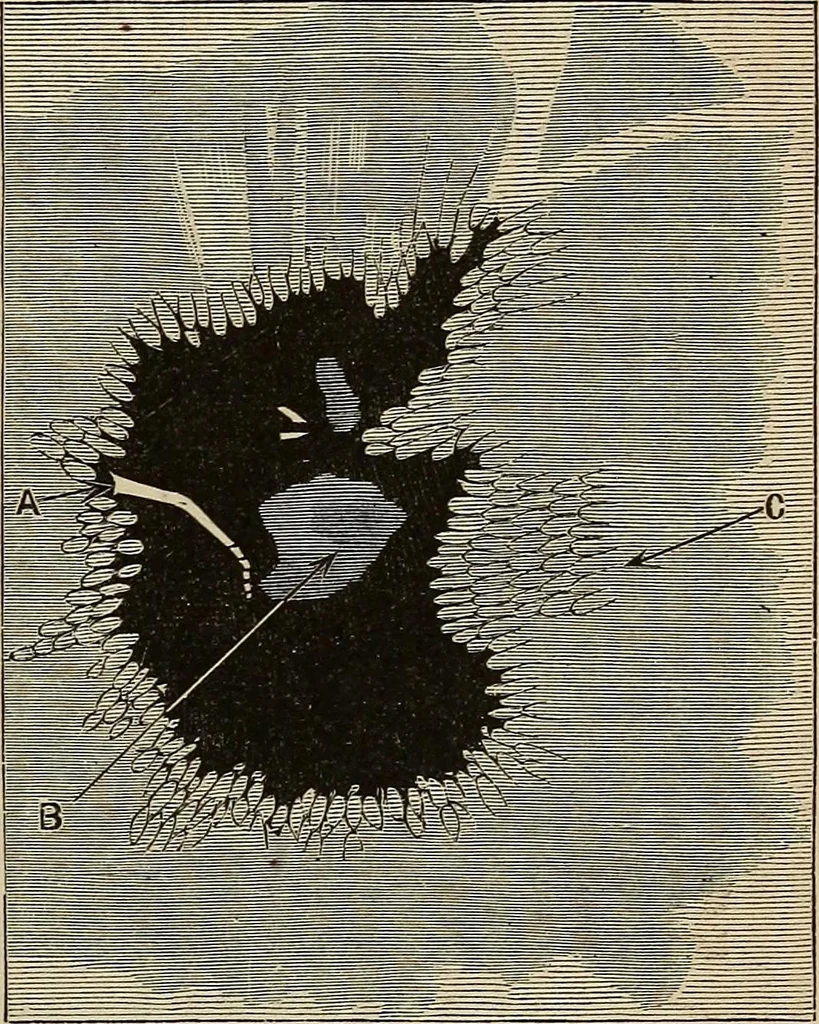An illustration from Elements of astronomy: accompanied with numerous illustrations, a colored representation of the solar, stellar, and nebular spectra, and celestial charts of the northern and the southern hemisphere, 1875, leaf 70