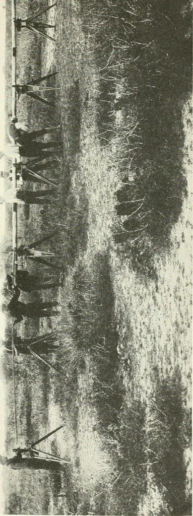 An illustration from Elements of chart making, 1916, leaf 38