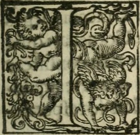 An illustration from The elements of the common lavves of England, branched into a double tract: the one containing A collection of some principall rules and maximes of the common law, with their latitude and extent. Explicated for the more facile introduction of such as are studiously addicted to that noble profession. the other The use of the common law, for preservation of our persons, goods, and good names. According to the lawes and customes of this land, 1636, leaf 10
