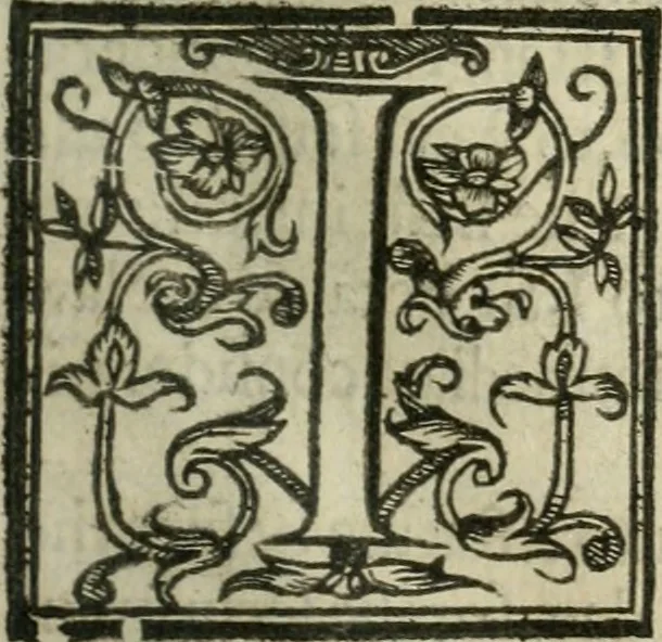 An illustration from The elements of the common lavves of England, branched into a double tract: the one containing A collection of some principall rules and maximes of the common law, with their latitude and extent. Explicated for the more facile introduction of such as are studiously addicted to that noble profession. the other The use of the common law, for preservation of our persons, goods, and good names. According to the lawes and customes of this land, 1636, leaf 26