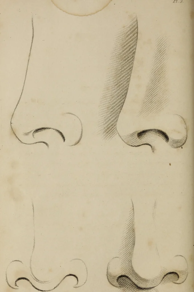 An illustration from The elements of drawing : in its various branches, for the use of students ... containing several hundred examples, from the works of the greatest masters, 1827, leaf 110