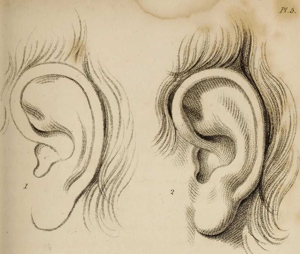 An illustration from The elements of drawing : in its various branches, for the use of students ... containing several hundred examples, from the works of the greatest masters, 1827, leaf 121