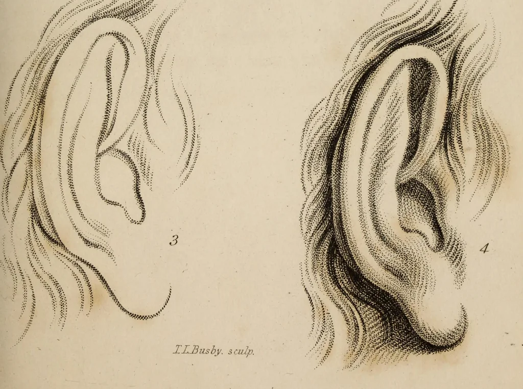 An illustration from The elements of drawing : in its various branches, for the use of students ... containing several hundred examples, from the works of the greatest masters, 1827, leaf 121