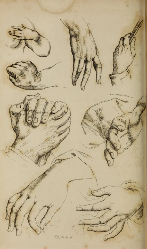 An illustration from The elements of drawing : in its various branches, for the use of students ... containing several hundred examples, from the works of the greatest masters, 1827, leaf 142