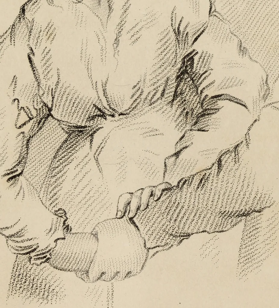An illustration from The elements of drawing : in its various branches, for the use of students ... containing several hundred examples, from the works of the greatest masters, 1827, leaf 157