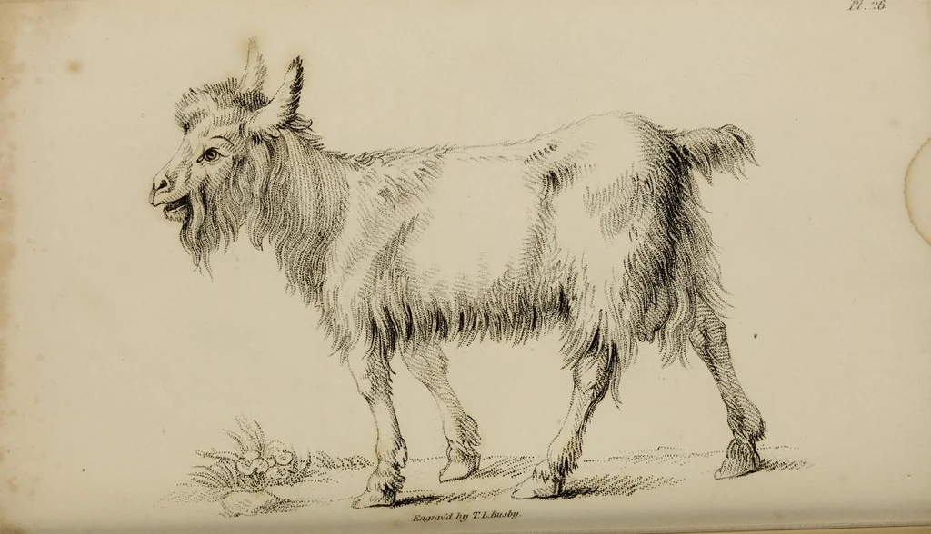 An illustration from The elements of drawing : in its various branches, for the use of students ... containing several hundred examples, from the works of the greatest masters, 1827, leaf 184