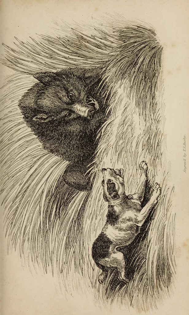 An illustration from The elements of drawing : in its various branches, for the use of students ... containing several hundred examples, from the works of the greatest masters, 1827, leaf 193
