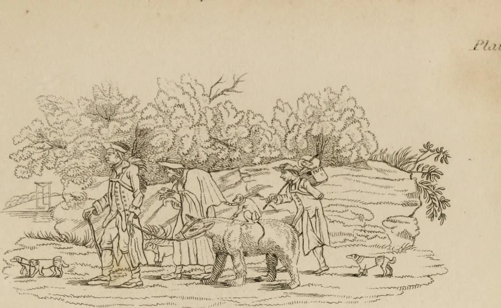 An illustration from The elements of drawing : in its various branches, for the use of students ... containing several hundred examples, from the works of the greatest masters, 1827, leaf 199