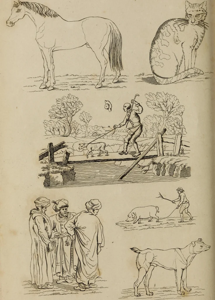 An illustration from The elements of drawing : in its various branches, for the use of students ... containing several hundred examples, from the works of the greatest masters, 1827, leaf 202